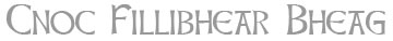 Cnoc Fillibhear Bheag - information and guide