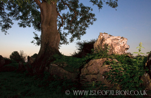 Grange Lios stone circle
