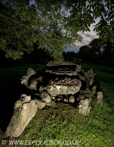 Lough Gur wedge tomb